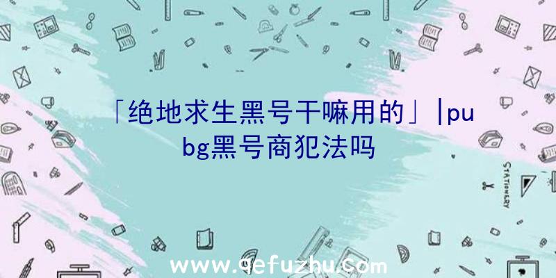 「绝地求生黑号干嘛用的」|pubg黑号商犯法吗